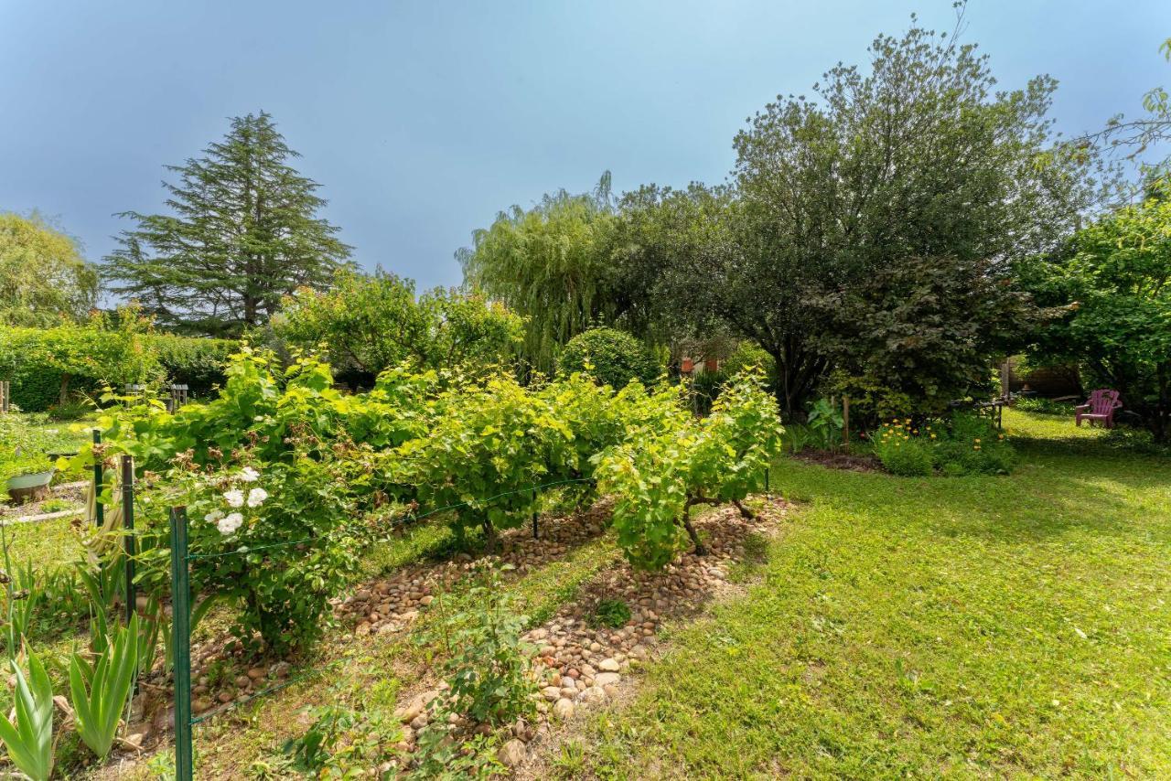 Villa La Mireio Malaucène Εξωτερικό φωτογραφία