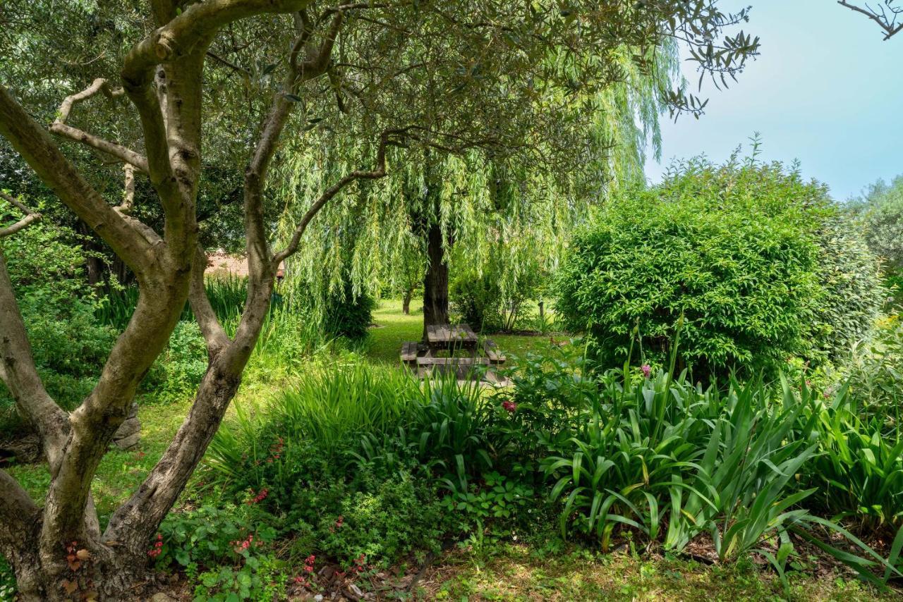Villa La Mireio Malaucène Εξωτερικό φωτογραφία